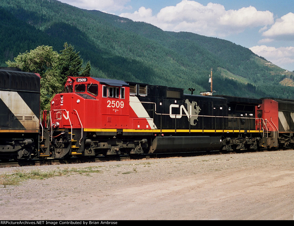 CN 2509